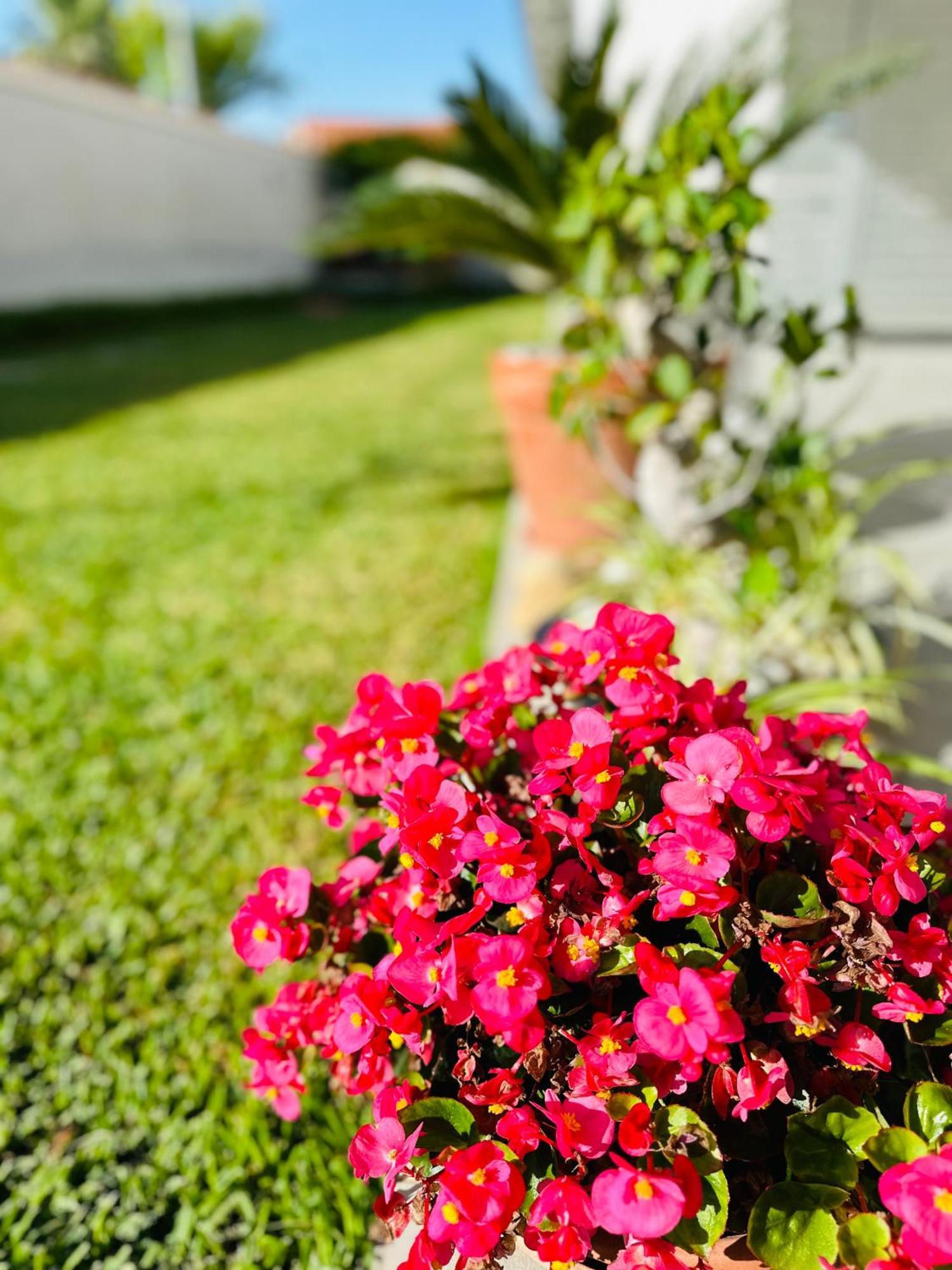 Invilla Bed&Breakfast - Quality Rooms Santa Maria di Castellabate Exterior foto